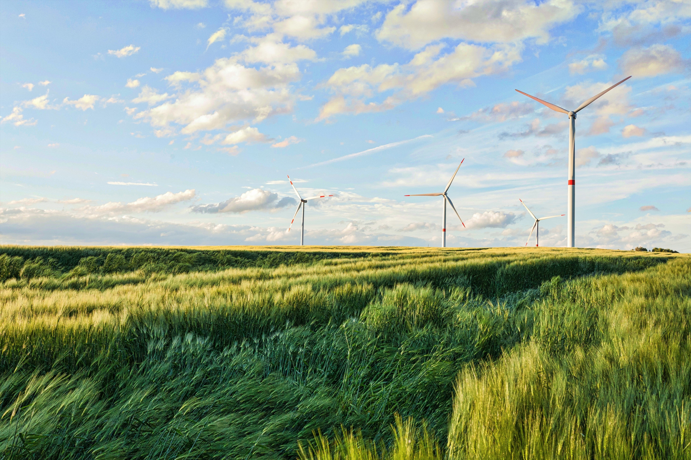 Des éoliennes tournant dans le vent, créant de l'énergie verte.