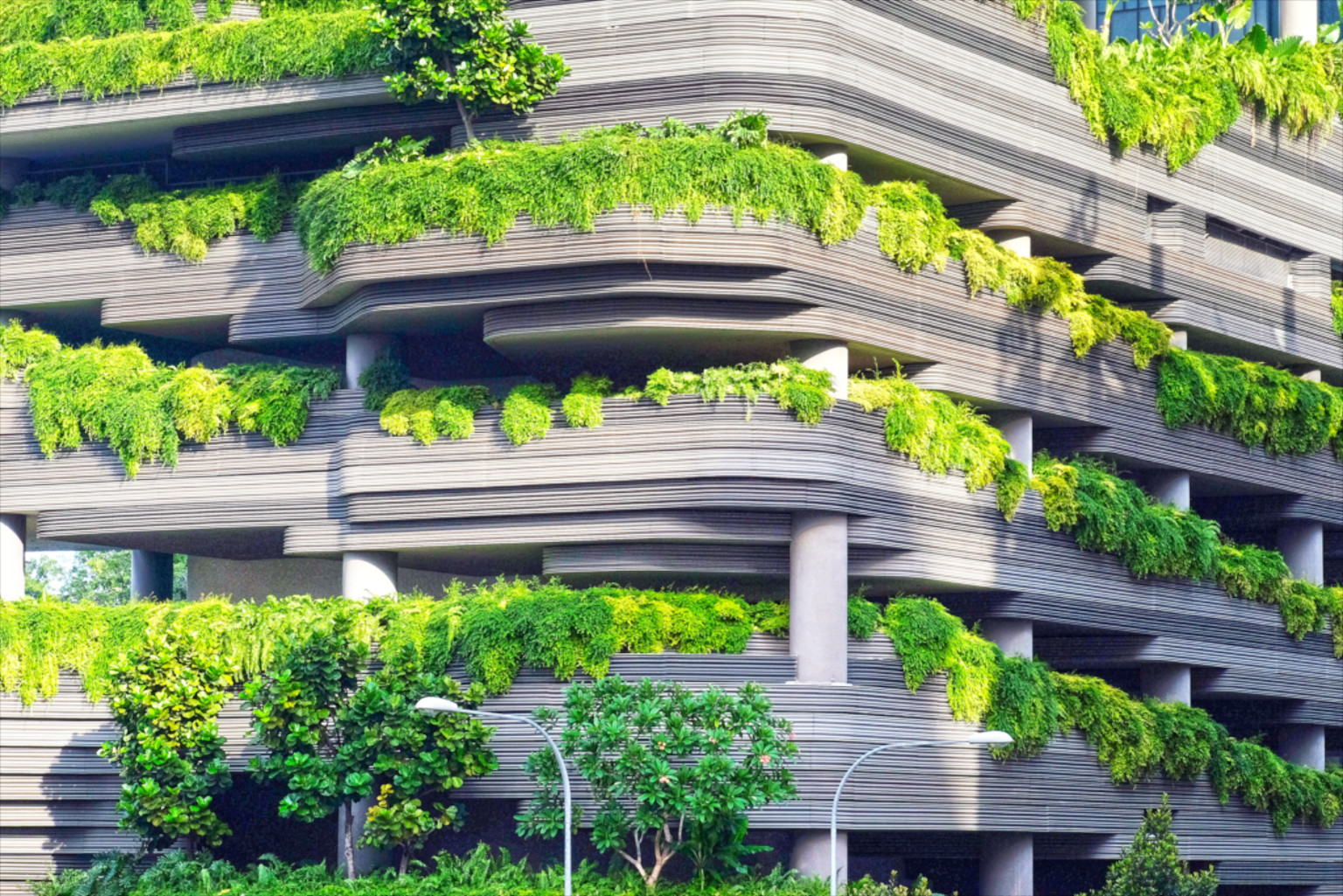 Une photo d'un immeuble emplie de verdure.