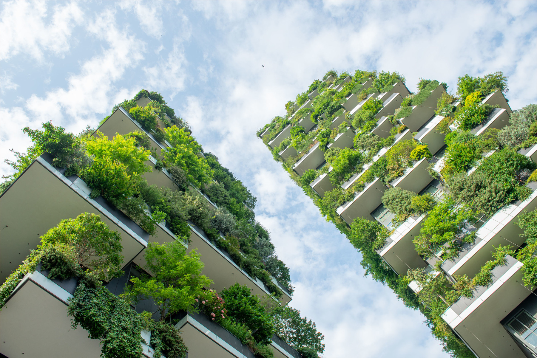 Deux immeubles dont les balcons sont couverts de végétaux, vue d'en dessous.
